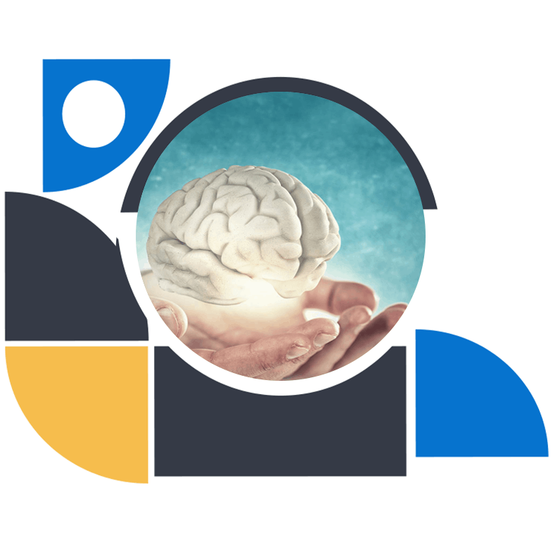 תמונת מוח בכף יד תאור לקורס MI CBT